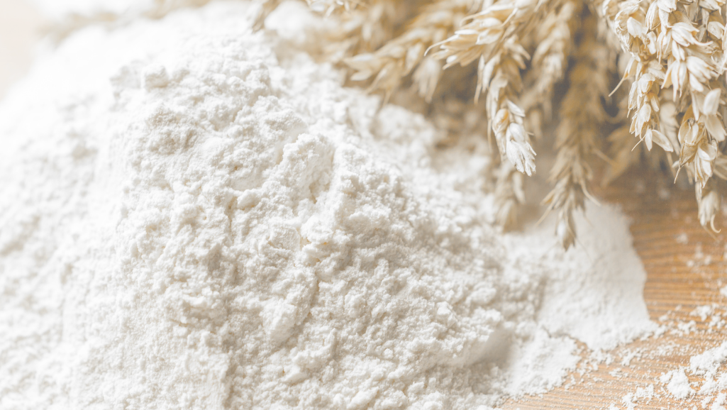 wheat and flour 